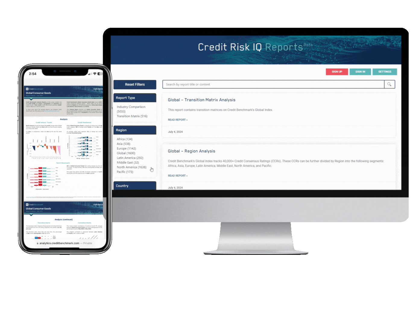 Credit Risk IQ screen