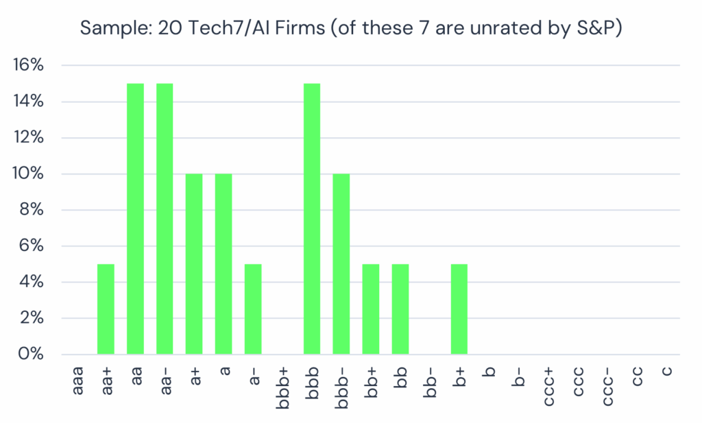 Credit Profile - 20 Major Tech Firms