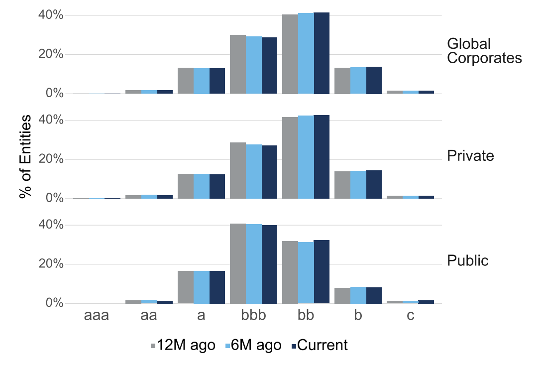Credit Profile - Global Corporates, Public vs Private