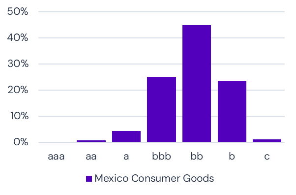 Credit Profile - Mexican Consumer Goods