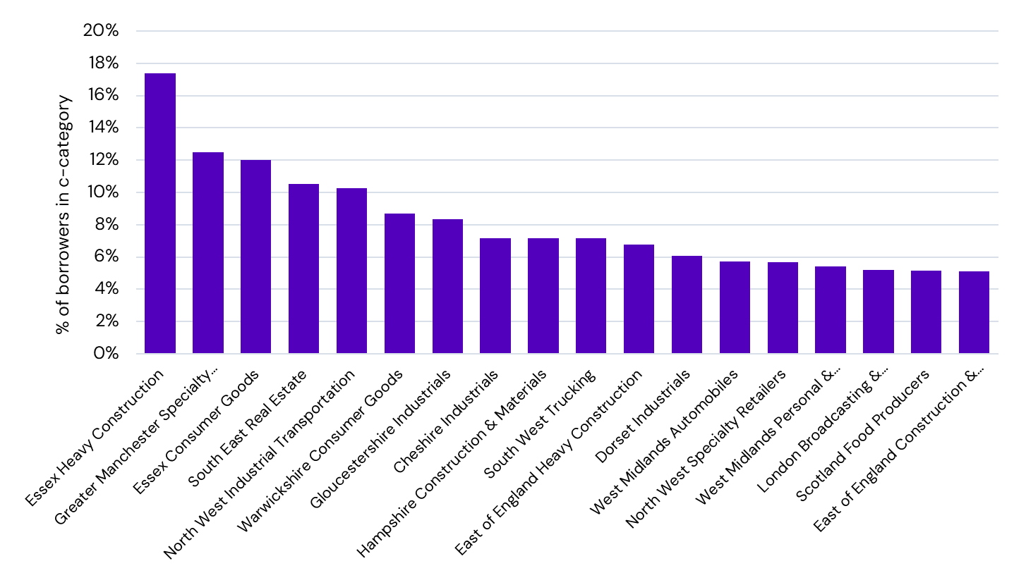 County Sectors with highest % in c-category (Elevated risk of defaults next 6-12 months)