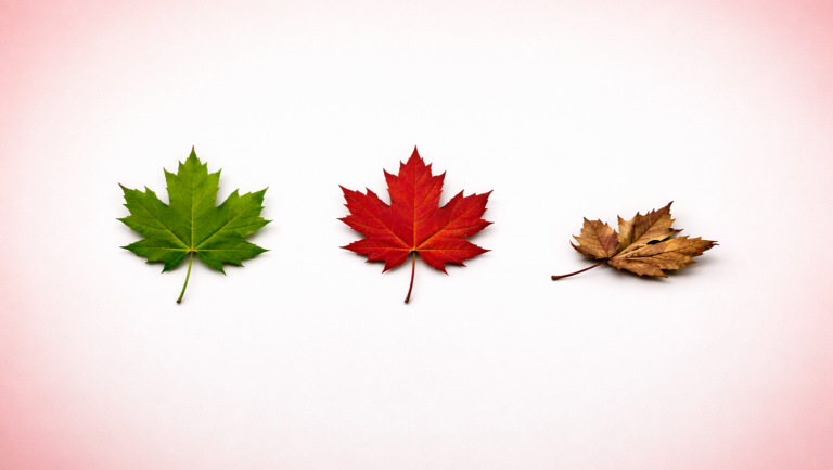 Canada Credit Risk Outlook 2026