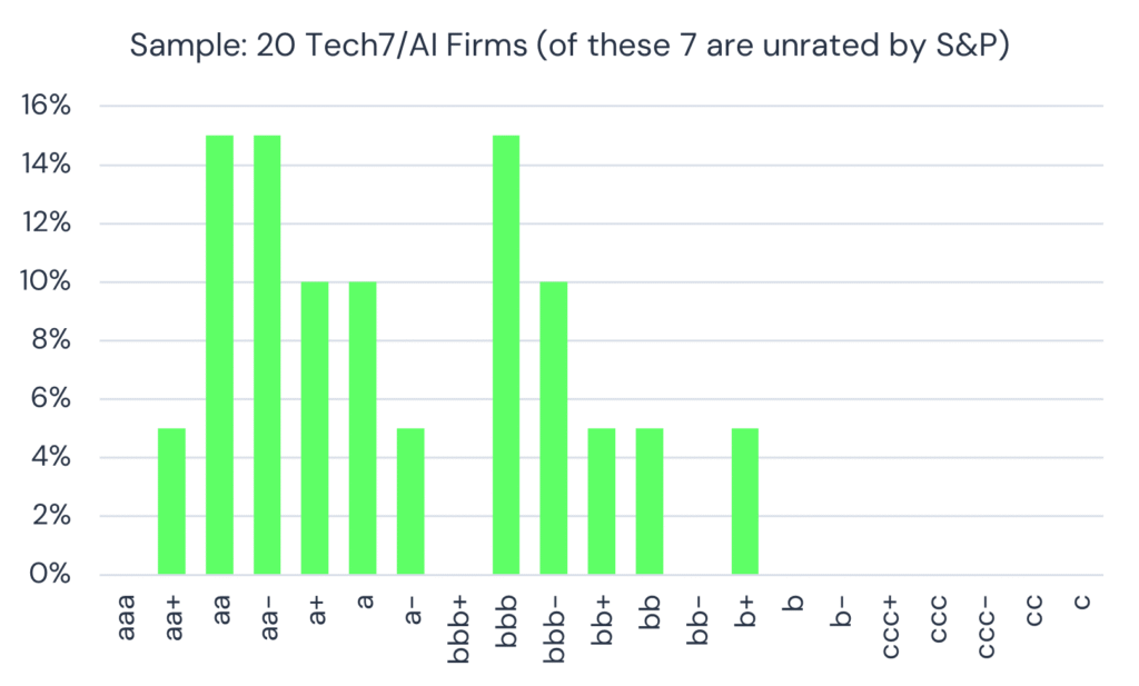 Credit Profile - 20 Major Tech Firms
